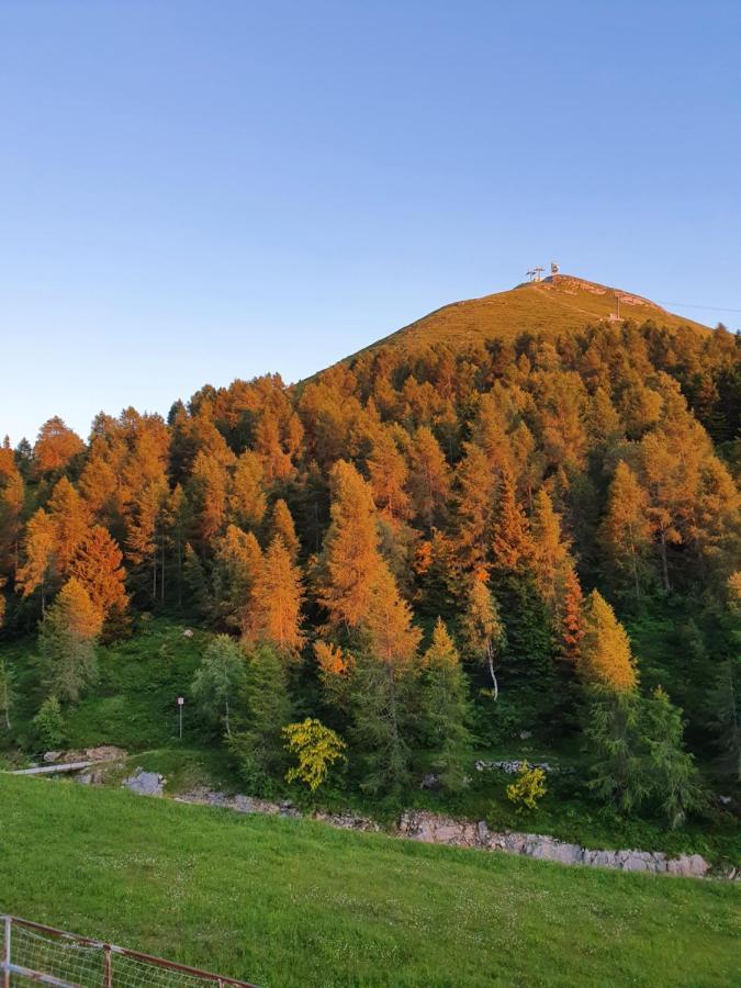 Rifugio Campelli 호텔 바지오 외부 사진